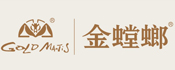 金螳螂互联网装修网站模板及源代码下载